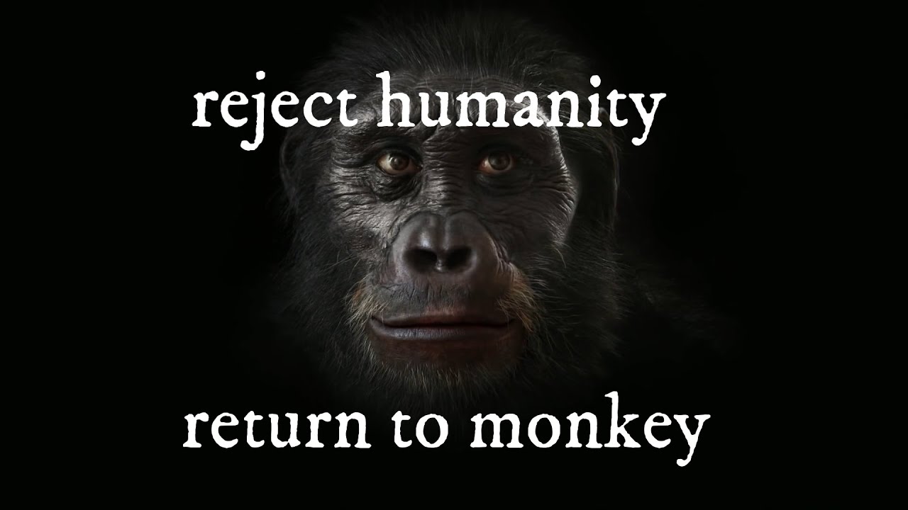 Return to Monke